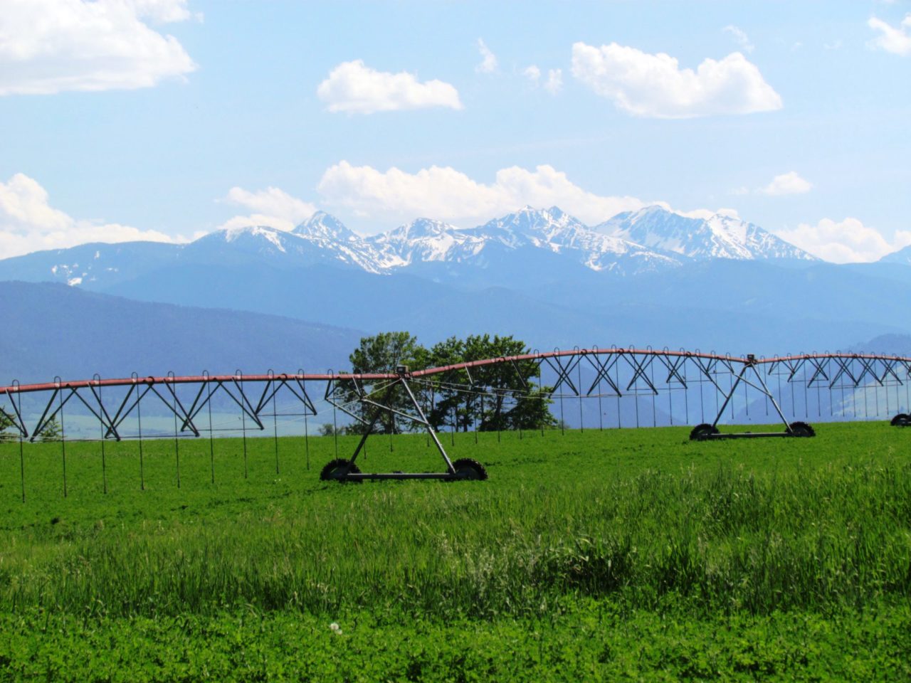 192+/- acres; Farm/Ranch land; SW of Bozeman Montana; Views; Conservation Easement Potential