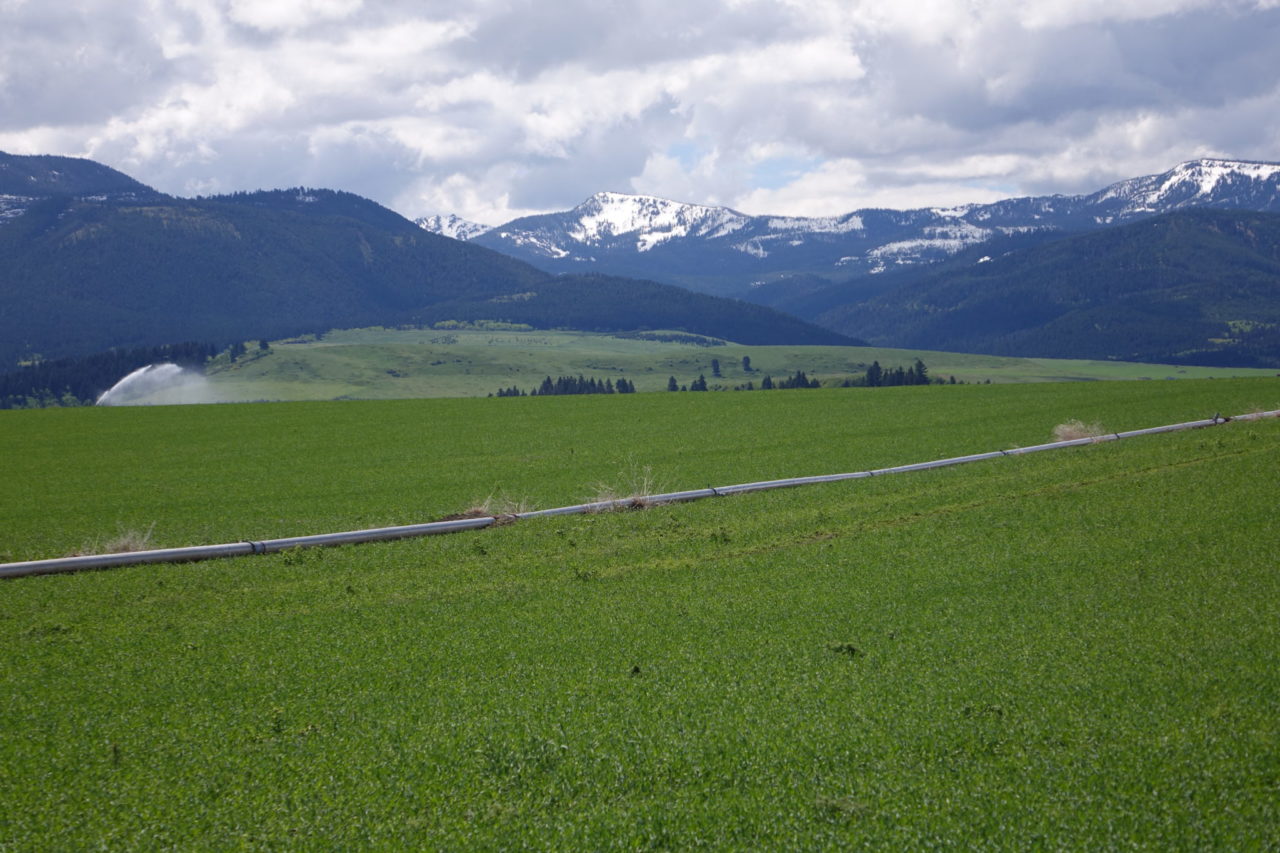 192+/- acres; Farm/Ranch land; SW of Bozeman Montana; Views; Conservation Easement Potential