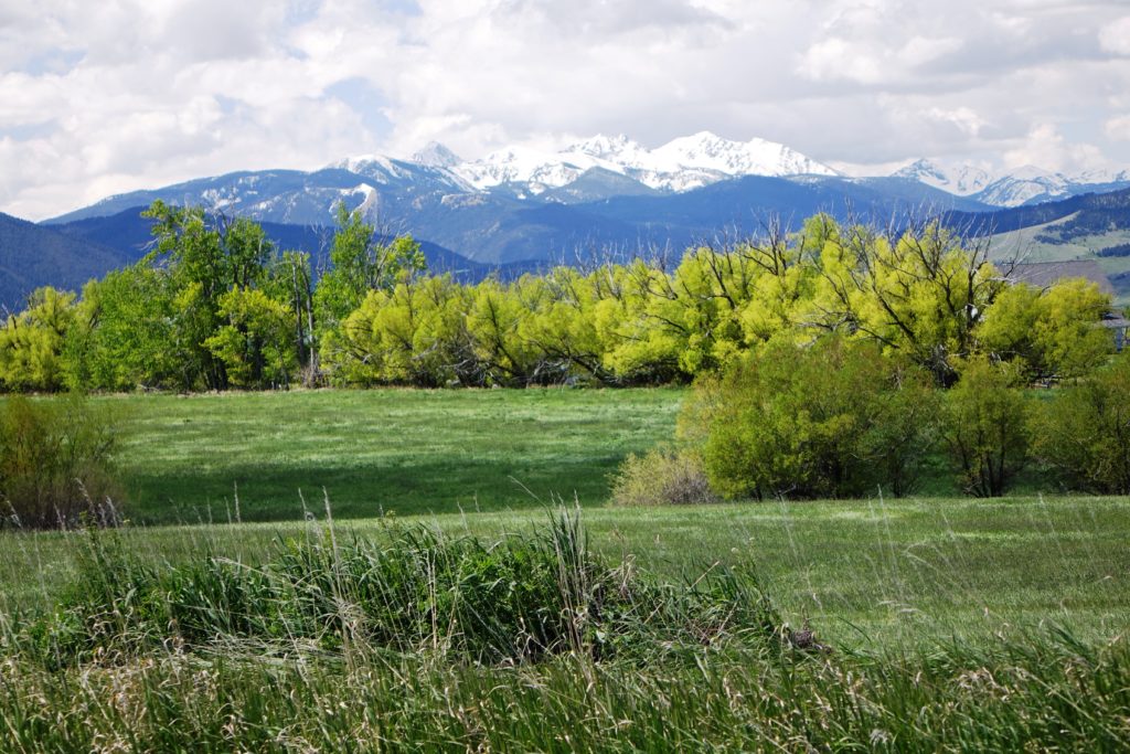 192+/- acres; Farm/Ranch land; SW of Bozeman Montana; Views; Conservation Easement Potential