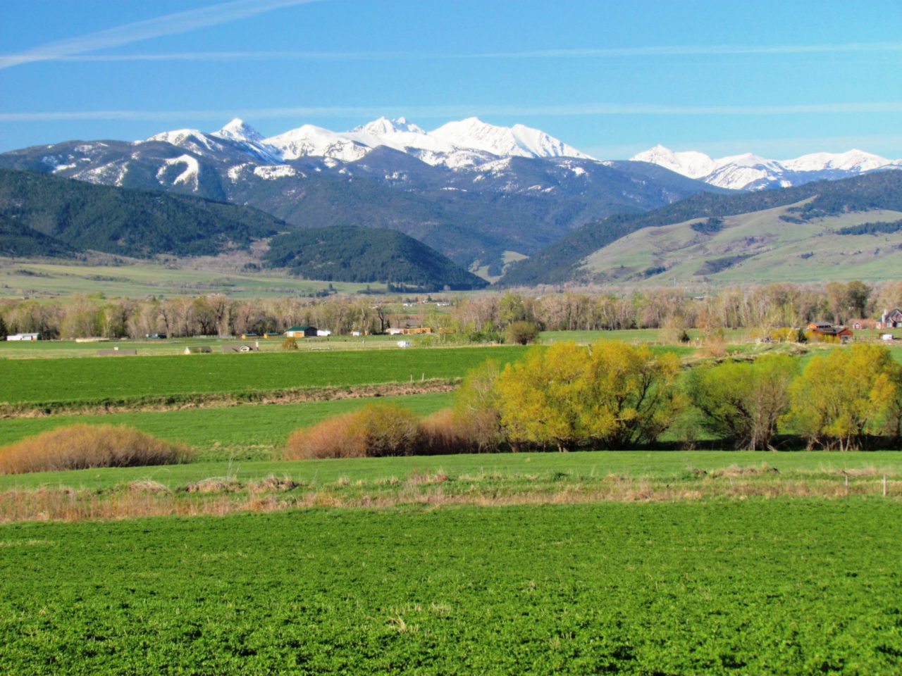 192+/- acres; Farm/Ranch land; SW of Bozeman Montana; Views; Conservation Easement Potential