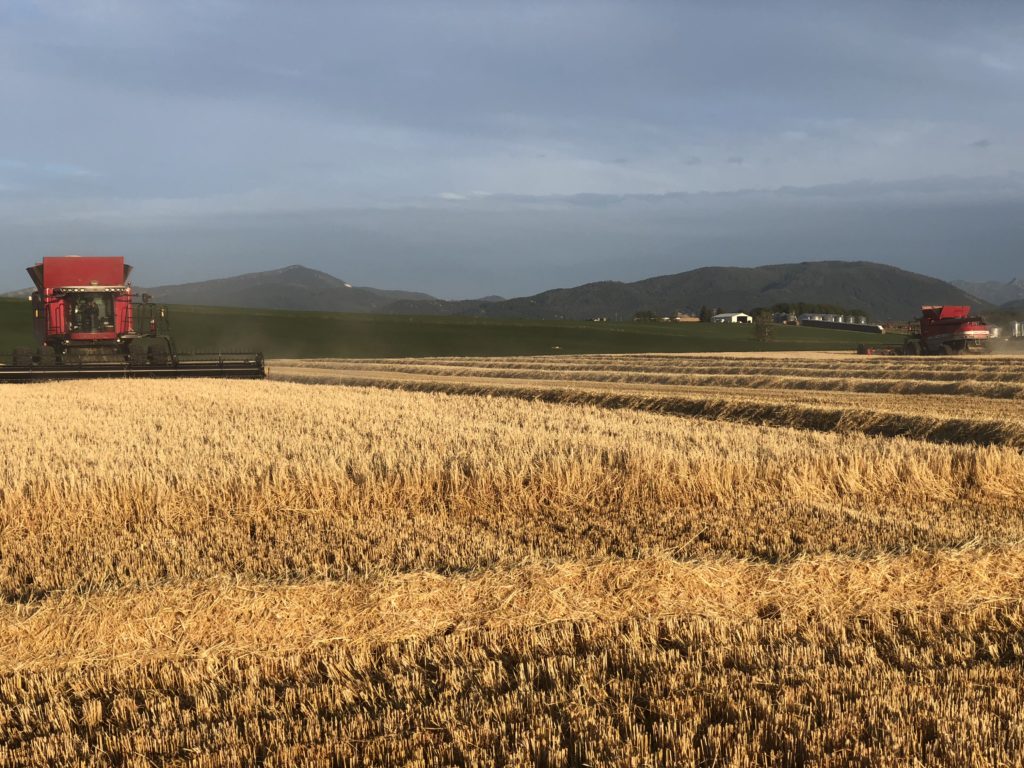 192+/- acres; Farm/Ranch land; SW of Bozeman Montana; Views; Conservation Easement Potential